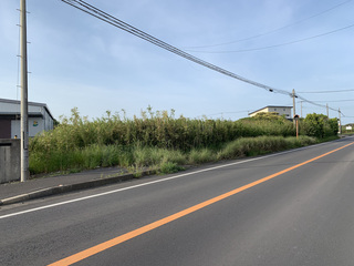 売地_旭市野中_工場・営業所用地 